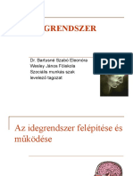 Az Idegrendszer