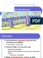The Cell MembraneH