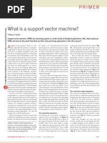 What Is A Support Vector Machine?: Primer