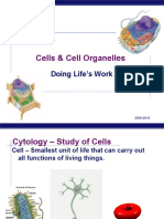 Cells & Cell Organelles: Doing Life's Work