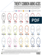 20 Amino Acids: Structures & Names | PDF | Amino Acid | Nutrients