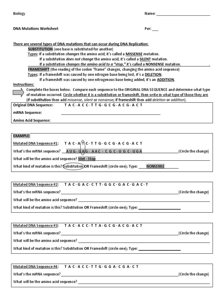 DNA Mutations Worksheet | PDF | Point Mutation | Hemoglobin