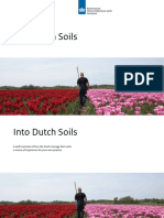 Into Dutch Soils (1)
