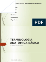 Terminologia Anatomica Basica - Compress