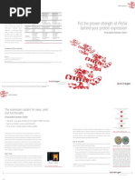 Download B-067202 Pichia Flyer by emijoza SN55574115 doc pdf