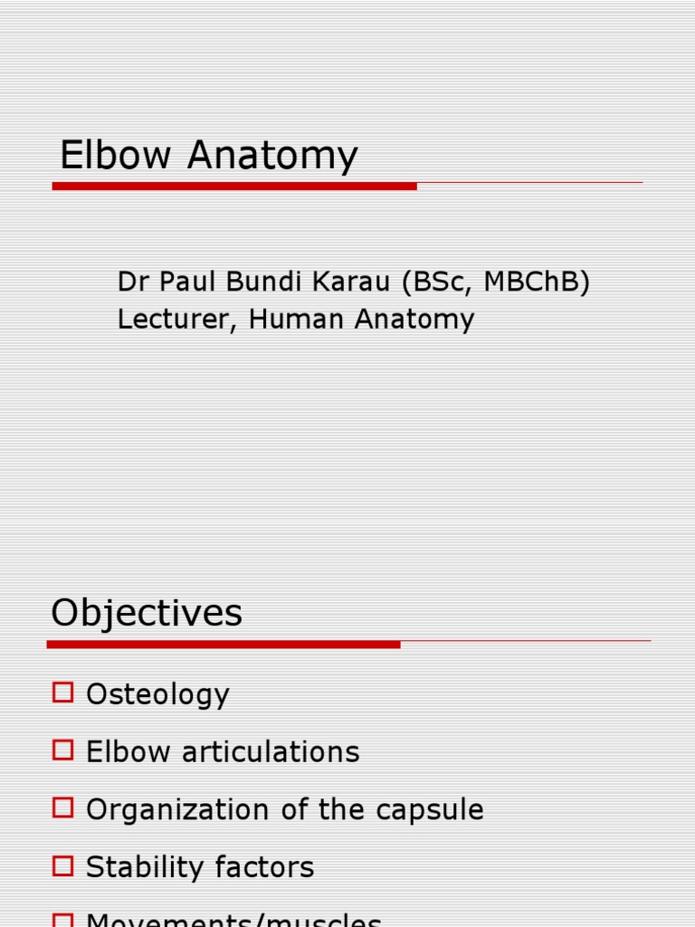 Elbow Anatomy | PDF | Elbow | Anatomical Terms Of Motion
