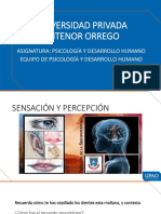 Sensación y Percepción.