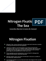 Nitrogen Fixation in The Sea