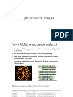 Multiple Seq Alignments