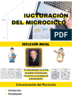 Estructura Del Microciclo