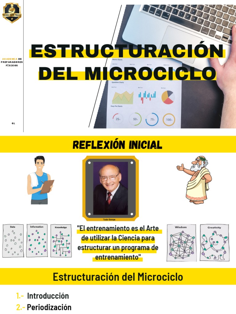 Estructura Del Microciclo | PDF | Science | Cognición