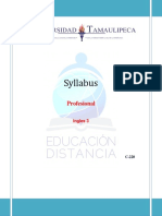 Syllabus Prof 3