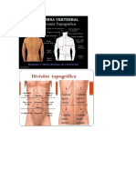 Topografía de Torax - Cara Anterior y Posterior