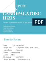 LABIOPALATOSKIZIS