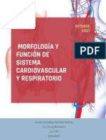Morfología y Función de Sistema Cardiovascular y Respiratorio - Compressed