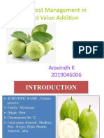Post Harvest Management in Guava and Value Addition: Aravindh K 2019046006