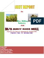 Amit Project Report