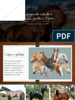 Colores de Caballos