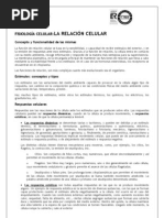 La relación celular