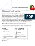 Berry Full of DNA - Lab