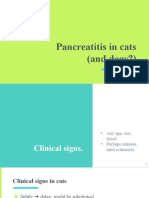 Pancreatitis in Cats (And Dogs?)