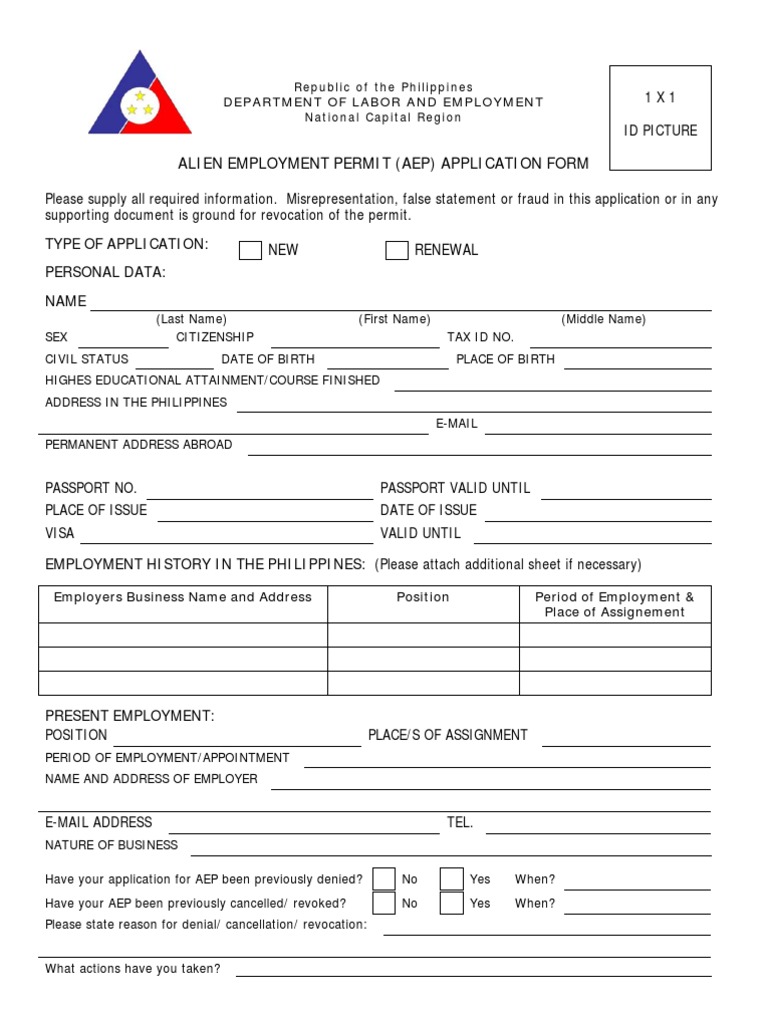AEP Application Form 2025 | PDF | Passport | Travel Visa