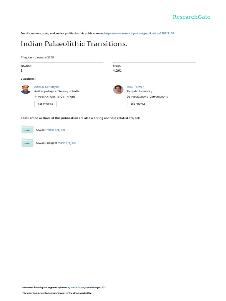 Indian Palaeolithic Cultural Transitions | PDF | Paleolithic | Homo