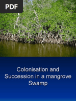 Download Colonisation and Succession in a mangrove Swamp by miadi SN5558393 doc pdf