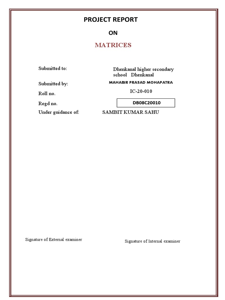 Project Report: Matrices | PDF | Matrix (Mathematics) | Mathematical ...