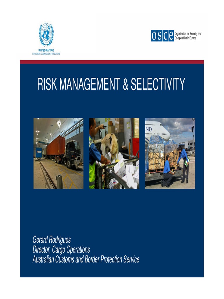 Implementing a RiskBased Approach to Border Management PDF Risk