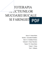 Fitoterapia Afectiunilor Mucoasei Bucale Si Faringiene