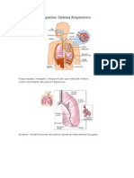 Apuntes Biologia