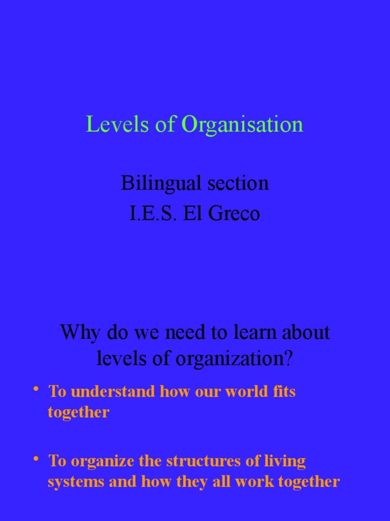 Levels of Organization PDF Human Body Macromolecules