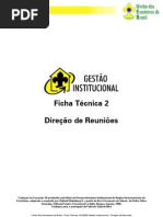 Ficha Tecnica Direcao Reunioes