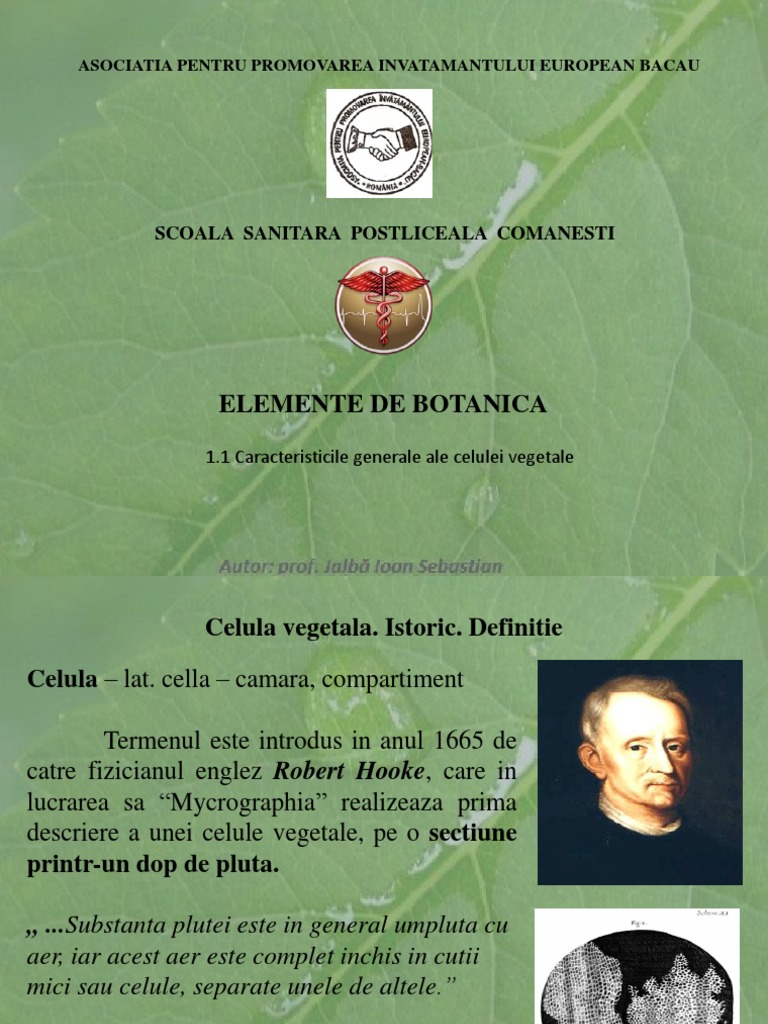Curs 1 Botanica | PDF