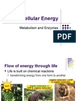 Notes Cell Energy 2010