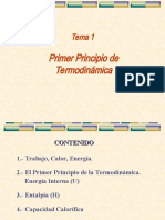 Tema 1-Primer Principio