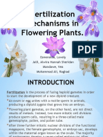 Fertilization Mechanisms in Flowering Plants
