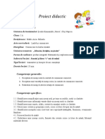 Proiect Didactic CLR 2