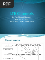 LTE Channels: Dr. Eng. Mostafa Mohamed PMP - Itil - Ibdl Rhce-Mcsa-Ccna-Ccai-Cscu