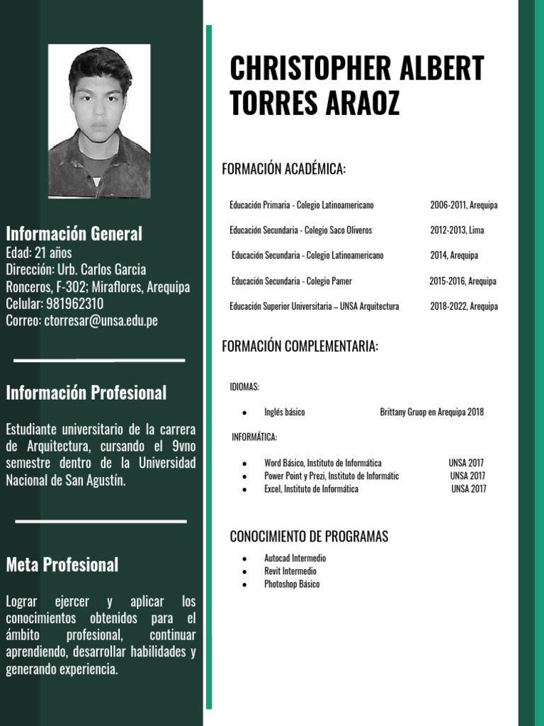 CV Christopher Torres Araoz | PDF