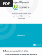Indicaciones y Ejemplos Arbol Kilau de La Salud Mental
