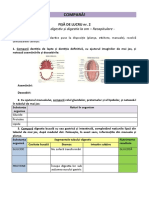 Fisa 2 A3