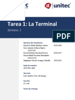 Tarea 1 La Terminal 