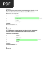 Download Quiz Corregidos by Nicolas Cifuentes SN55593370 doc pdf