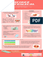 Infografia Acidez Estomacal