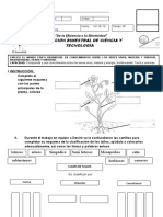 Evaluación - Iii Bimestre