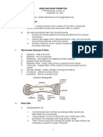 Bone and Bone Formation