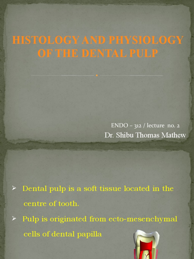 Histology of Dental Pulp Zones | PDF | Anatomy | Animal Anatomy
