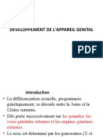 Développement de L'appareil Génital